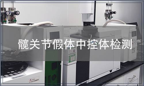 髖關節假體中控體檢測