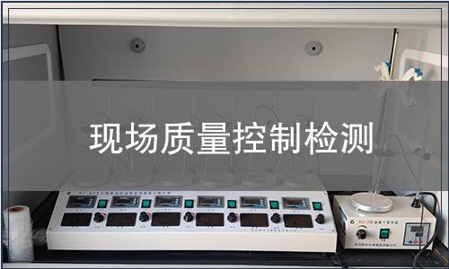 現(xiàn)場(chǎng)質(zhì)量控制檢測(cè)