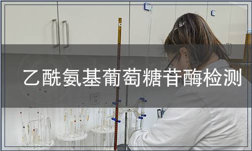 乙酰氨基葡萄糖苷酶檢測