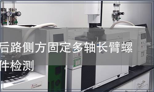 胸腰椎后路側方固定多軸長臂螺釘含附件檢測