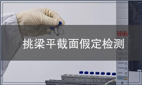 挑梁平截面假定檢測(cè)