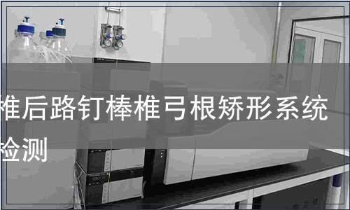 胸腰椎后路釘棒椎弓根矯形系統純鈦檢測
