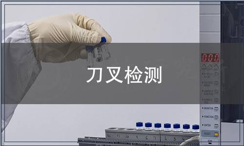 刀叉檢測