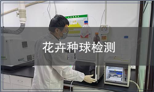 花卉種球檢測(cè)