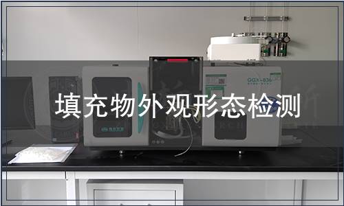 填充物外觀形態(tài)檢測