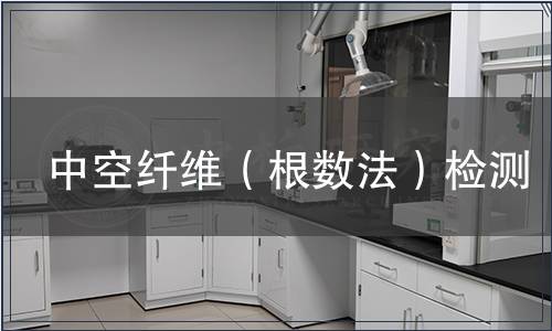 中空纖維（根數(shù)法）檢測(cè)