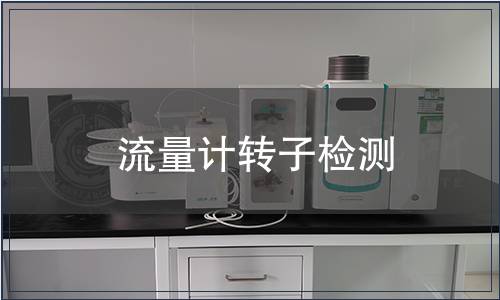 流量計轉子檢測