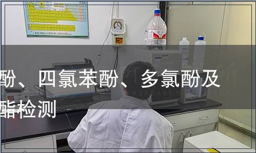 三氯苯酚、四氯苯酚、多氯酚及其鹽和酯檢測(cè)