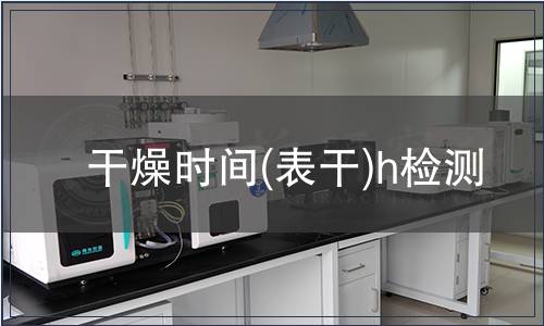 干燥時間(表干)h檢測