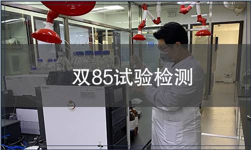雙85試驗(yàn)檢測(cè)