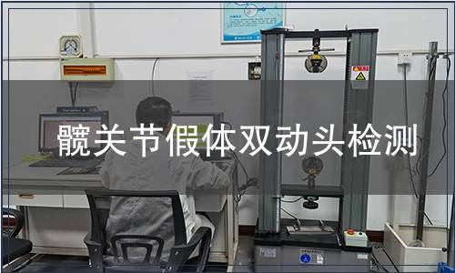 髖關節假體雙動頭檢測