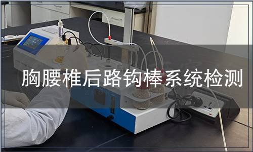 胸腰椎后路鉤棒系統檢測