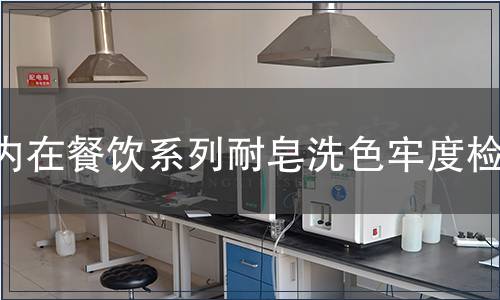 內在餐飲系列耐皂洗色牢度檢測