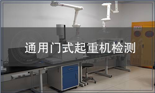 通用門式起重機(jī)檢測(cè)