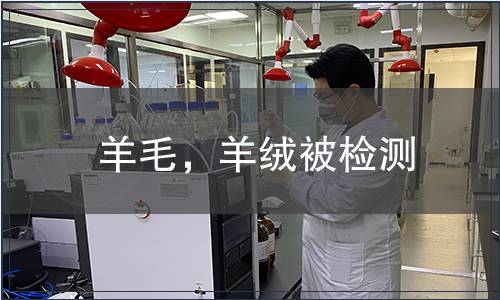 羊毛，羊絨被檢測