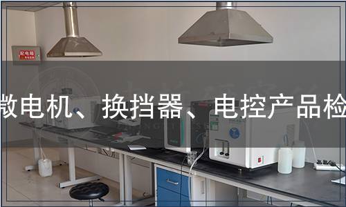 微電機(jī)、換擋器、電控產(chǎn)品檢測