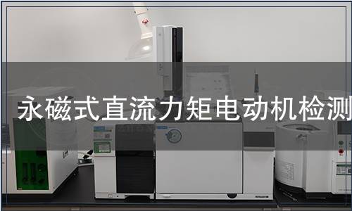 永磁式直流力矩電動(dòng)機(jī)檢測(cè)