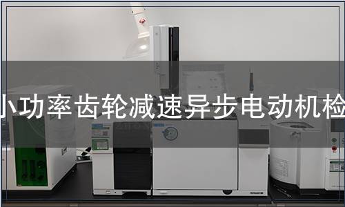 小功率齒輪減速異步電動(dòng)機(jī)檢測