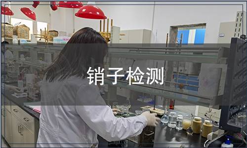 銷子檢測