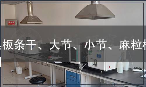 黑板條干、大節、小節、麻粒檢測