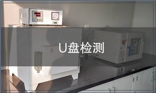 U盤(pán)檢測(cè)