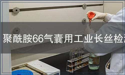 聚酰胺66氣囊用工業(yè)長絲檢測