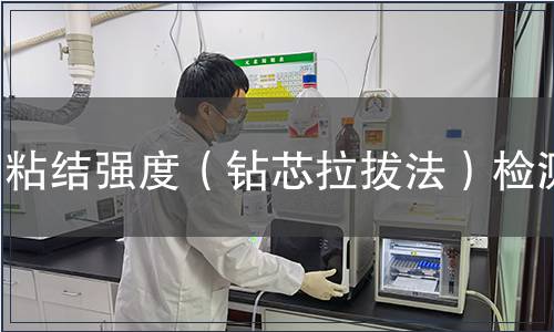 粘結(jié)強度（鉆芯拉拔法）檢測