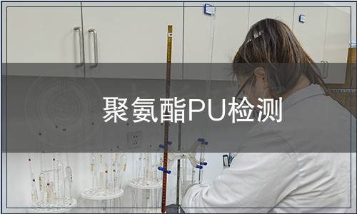 聚氨酯PU檢測(cè)