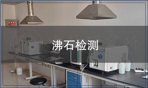 沸石檢測