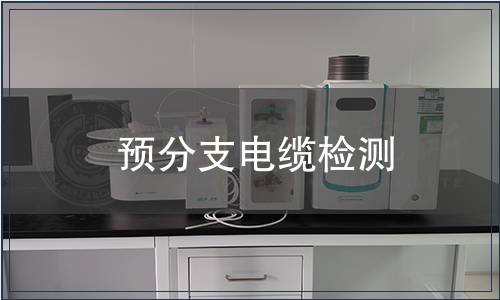 預分支電纜檢測