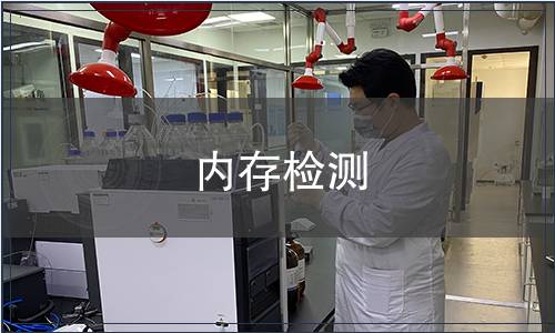 內(nèi)存檢測(cè)