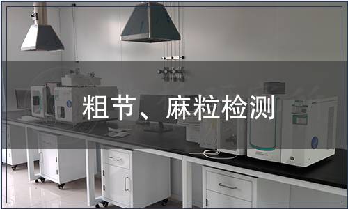 粗節(jié)、麻粒檢測