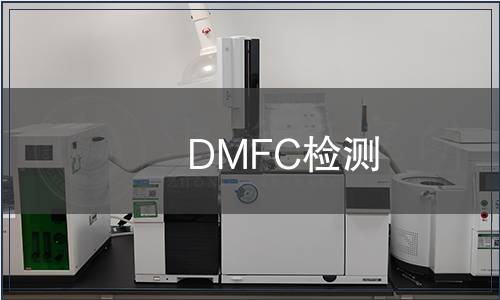 DMFC檢測