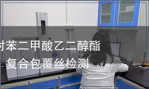 聚氯乙烯聚對(duì)苯二甲酸乙二醇酯（PVCPET）復(fù)合包覆絲檢測(cè)