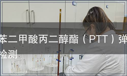 聚對(duì)苯二甲酸丙二醇酯（PTT）彈力絲檢測(cè)