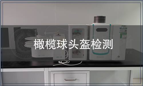 橄欖球頭盔檢測